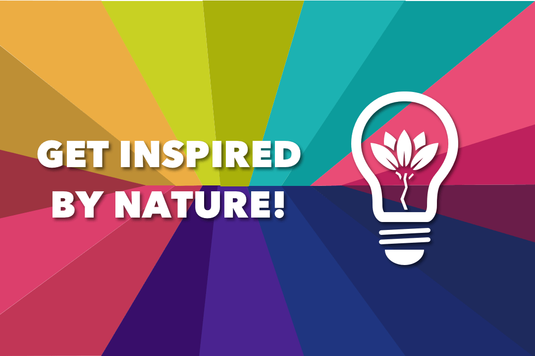Color In Mobile App Design: The Inspiration From Nature