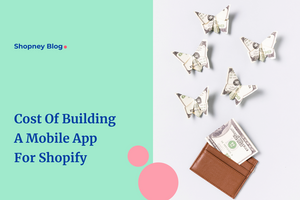 How Much Does It Cost to Build an App for Your Shopify Store (2024)
