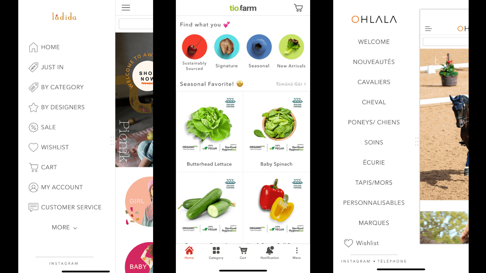 Example of a mobile app 