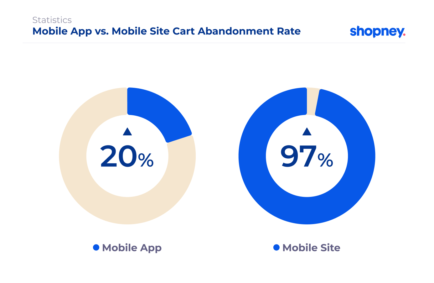 Signs your Shopify Store Needs a Mobile App | Shopney