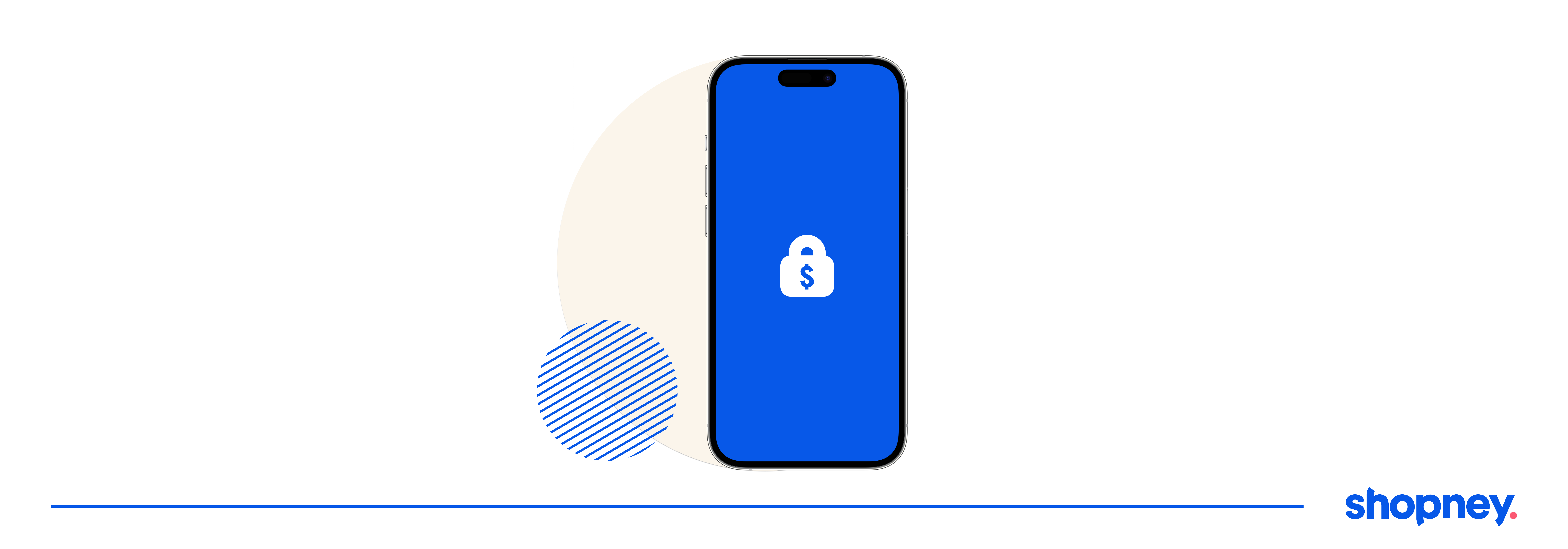 phone screen with a lock inside and a dollar sign.