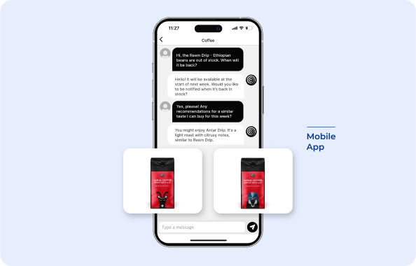 in-app chat page of Shopigo on Mobile app